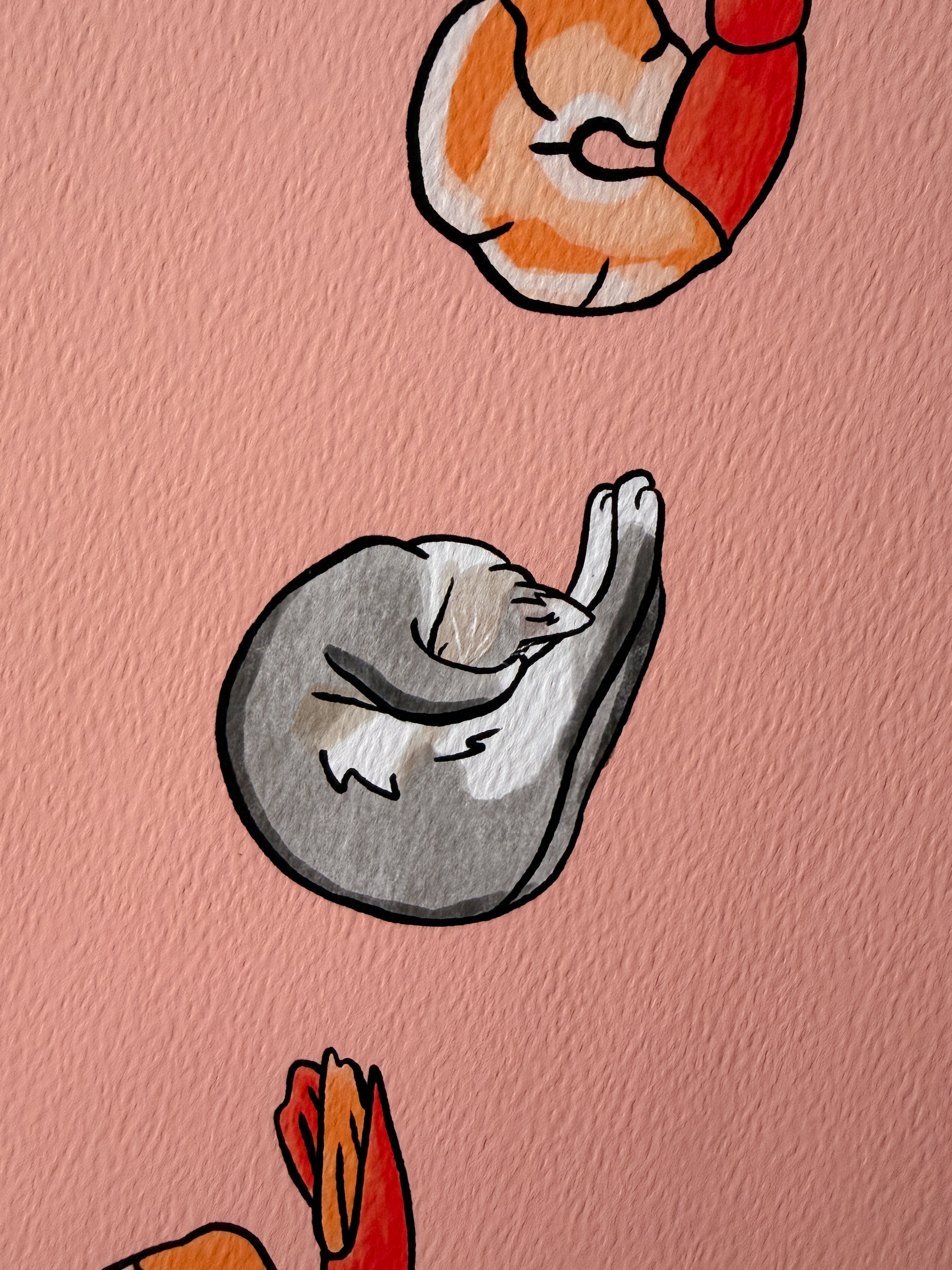 2 Shrimp and a Cat